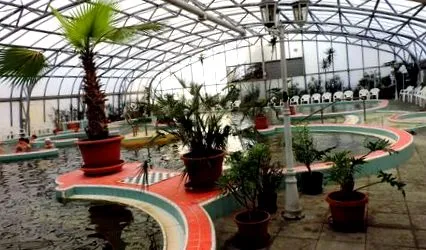 кръвоносните кръвоносните