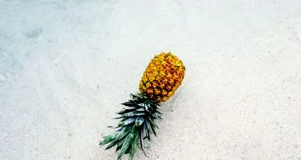 aceea