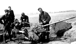 превозни средства division