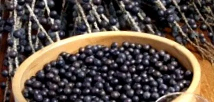 природен acai