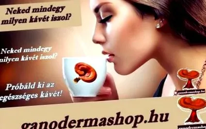 гриб-восковий ganodermashop