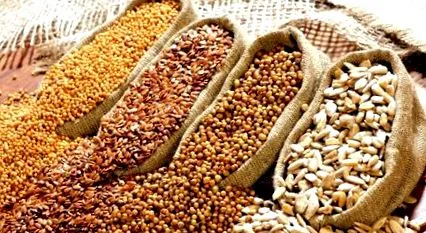 organică pateuri