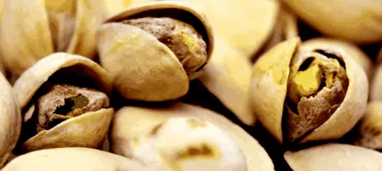 храна
