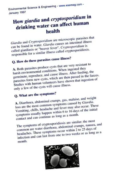 giardia giardia