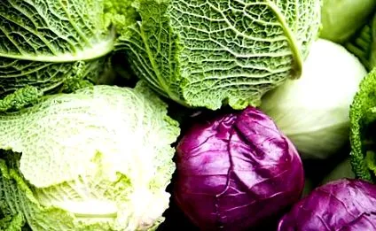 conținutului ridicat Dieting Femina
