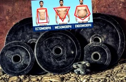 кожен типів