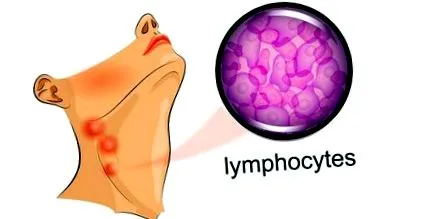 urechii