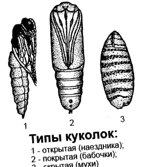 підшкірні підшкірні