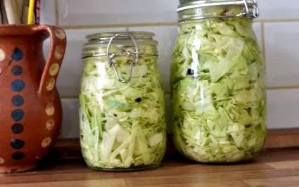 probiotic casă