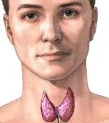 descoperi putem