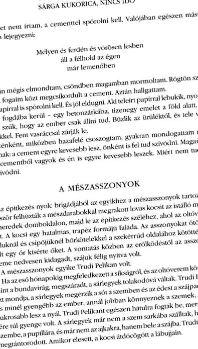 дупето дупето