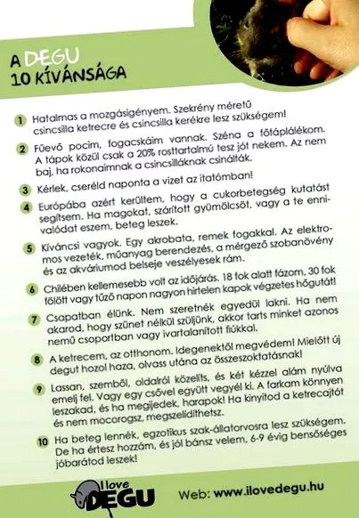 degu ветеринарен лекар
