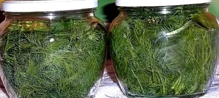 копърът месеци