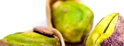 alimentele modul