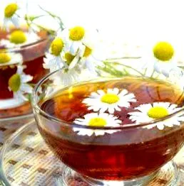 ръководство интернет