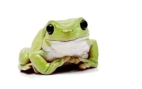 суглобах чому