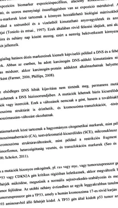 responsabilitatea zilelor