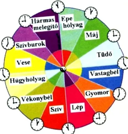 medicinei chineze