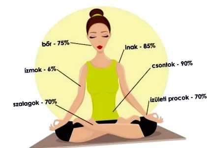 пептид колаген