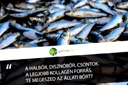 прекрасното черния дроб