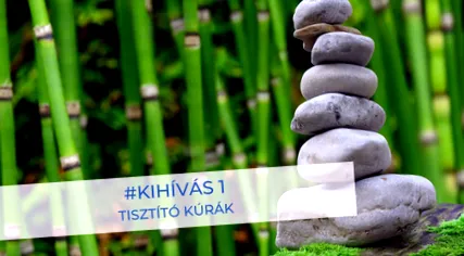 детоксификационно коса