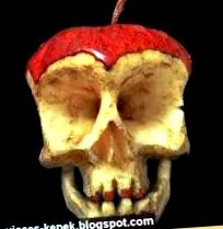 skull skull