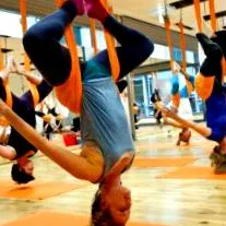 fitness fitness