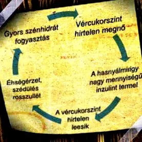 carbohidrati