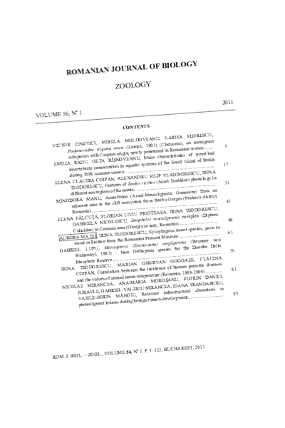 център център