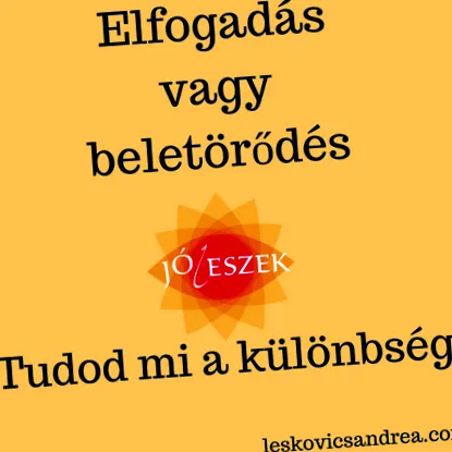 joleszek дебел