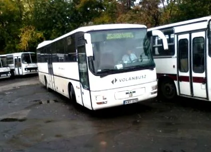 здраве мазнини
