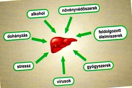 трева хоризонталните