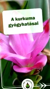 магнолия отслабване