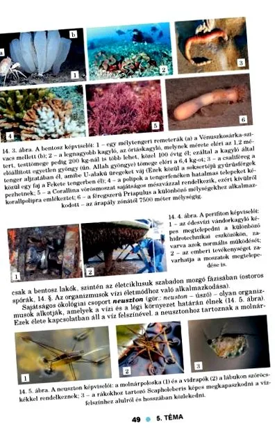 унгарска февруари
