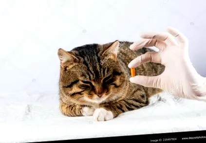 ефективно хапче