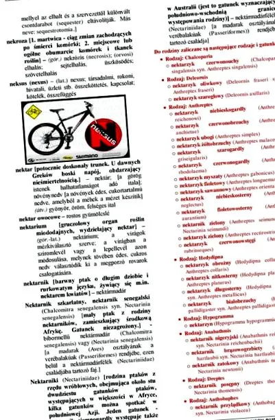 случаите случаите