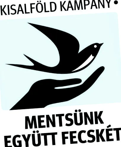 rândunici