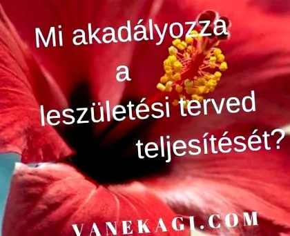 възпрепятстват недостатъците