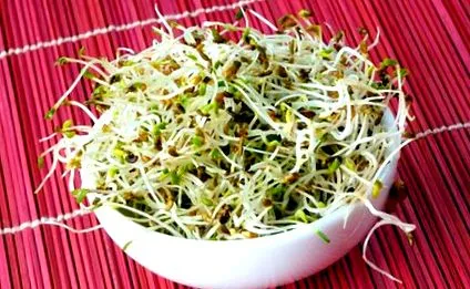 dieting femina