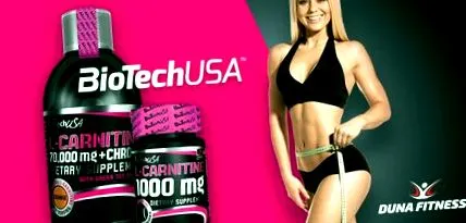какво l-carnitine
