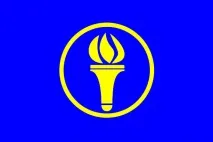 свої