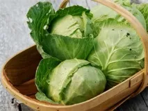 капусту