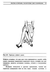 Алан Піз та Мова жестів алан