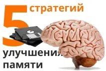 5 стратегій покращення пам’яті мозок