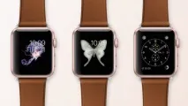 apple apple