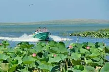 Ахтанизовський лиман - подорож до Долині лотосів подорож