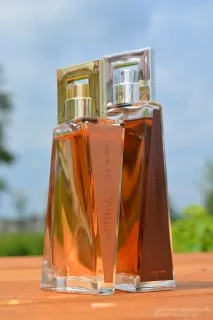 Avon Літні новинки парфумерії, догляду та макіяжу (2017) літні