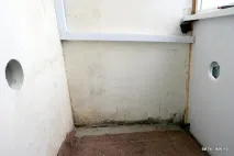 Без чого я більше не уявляю свого життя уявляю