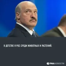 фонд платинен