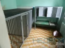 Без суду та слідства суду